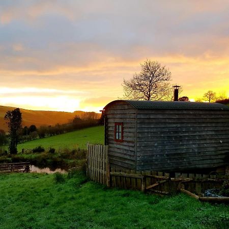 Foxglove Accommodation Craven Arms Extérieur photo