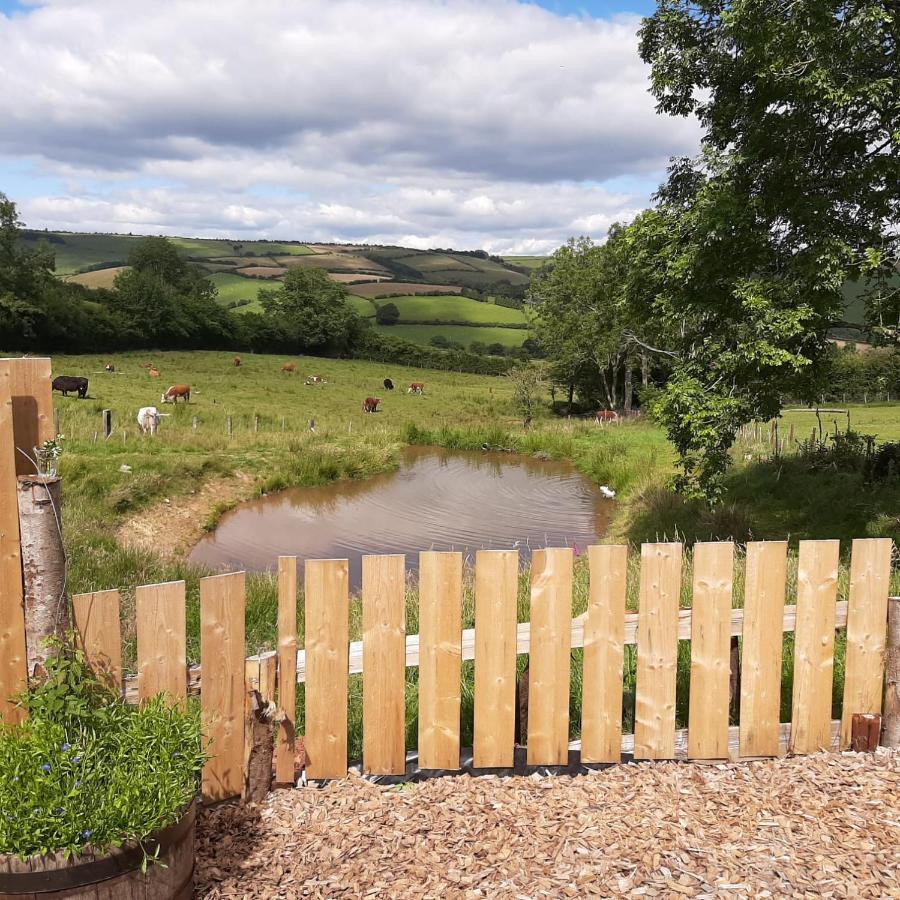 Foxglove Accommodation Craven Arms Extérieur photo