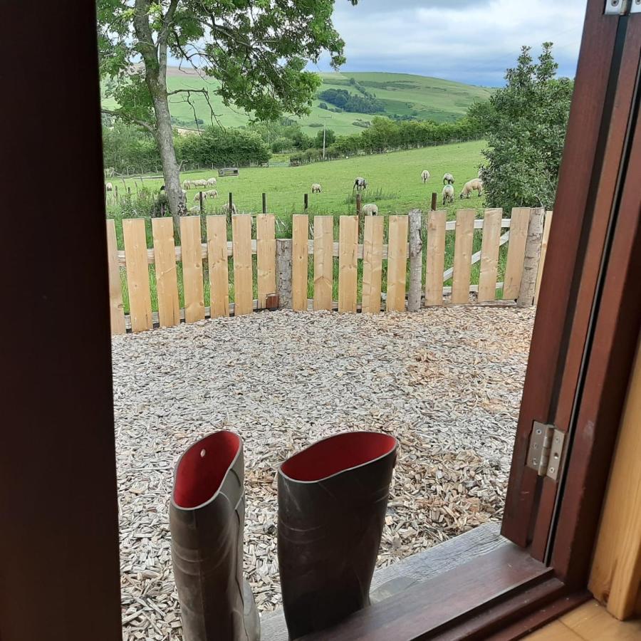 Foxglove Accommodation Craven Arms Extérieur photo