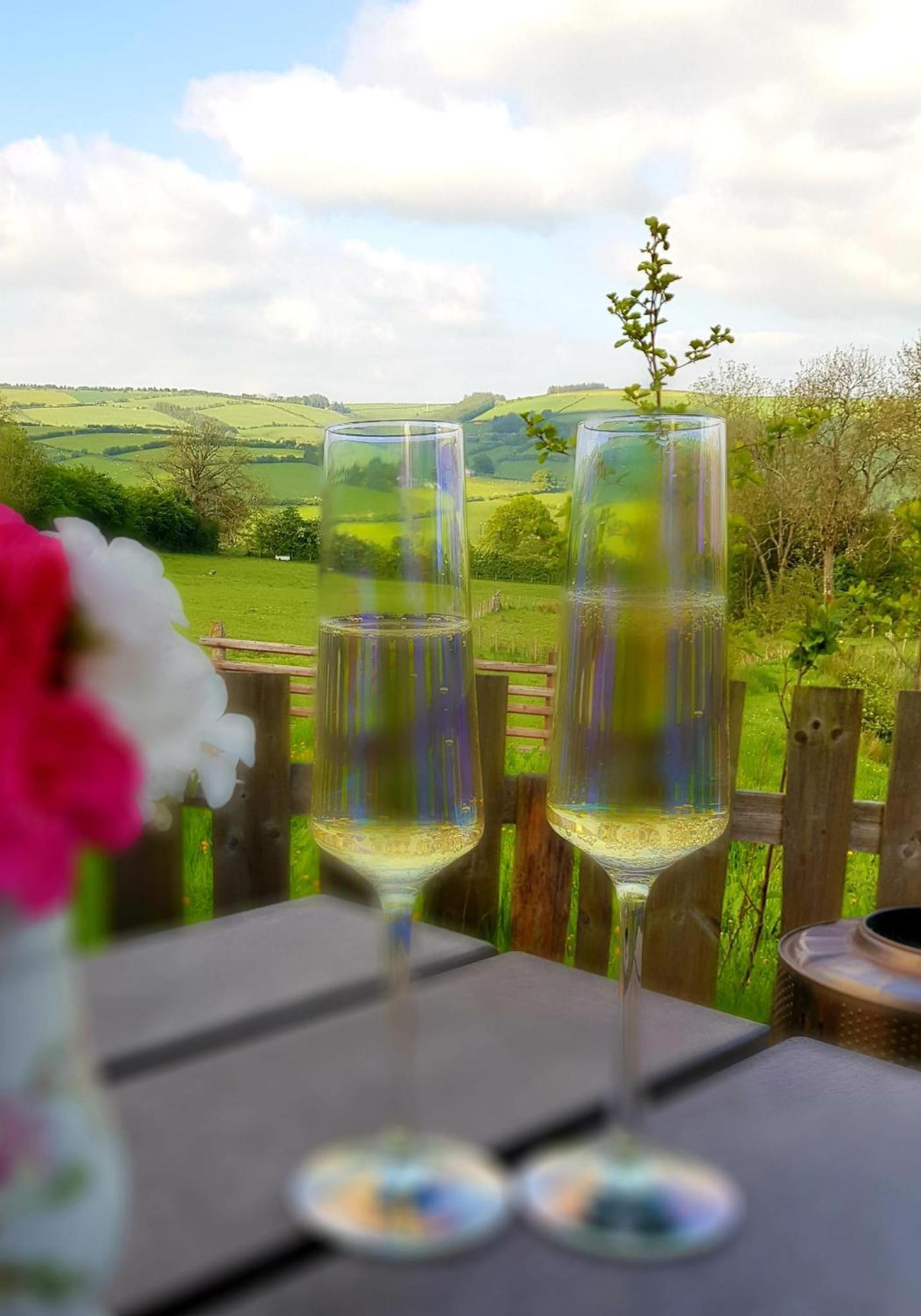Foxglove Accommodation Craven Arms Extérieur photo